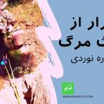 کارگاه استون نات دره نوردی رضا اسماعیلی کوه پلاس