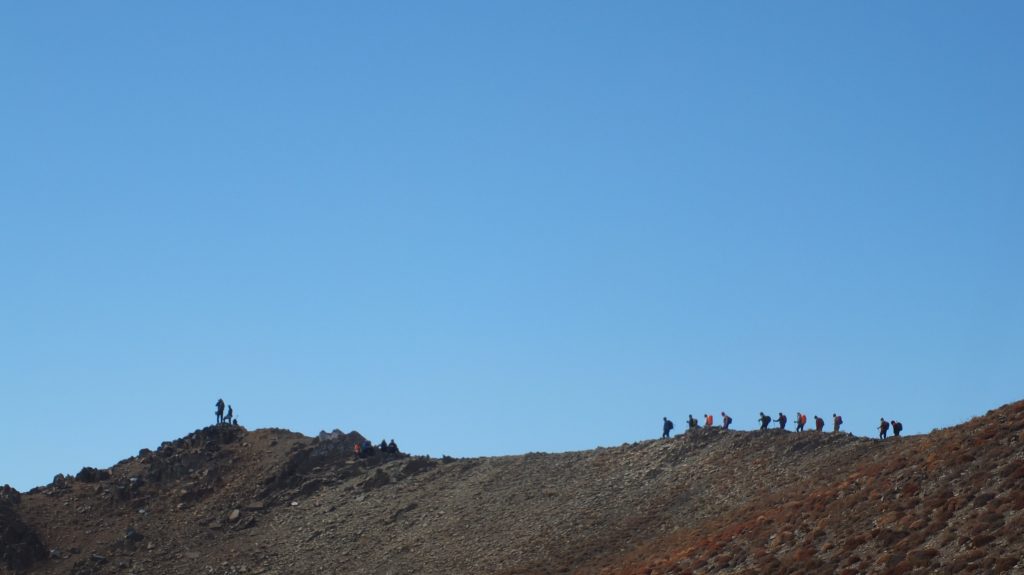 تغذیه در کوهستان کوه پلاس