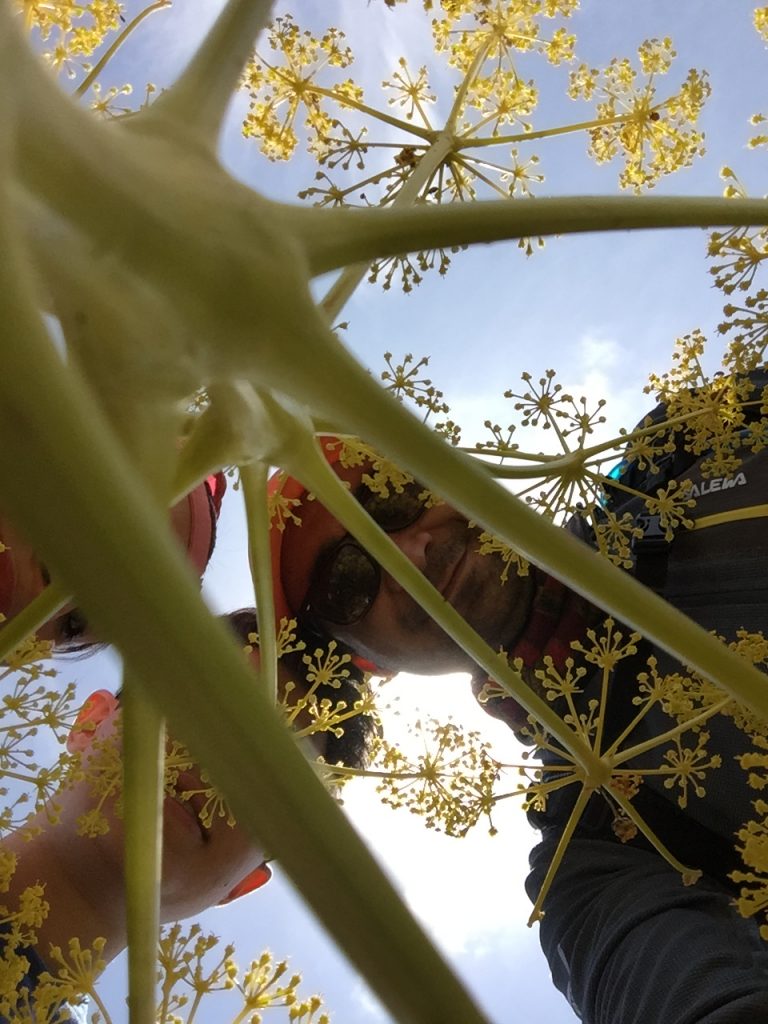 هزار مسجد کوه پلاس رضا اسماعیلی