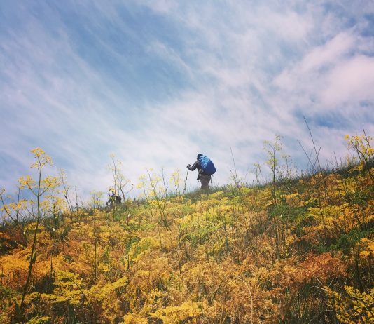 هزار مسجد کوه پلاس رضا اسماعیلی