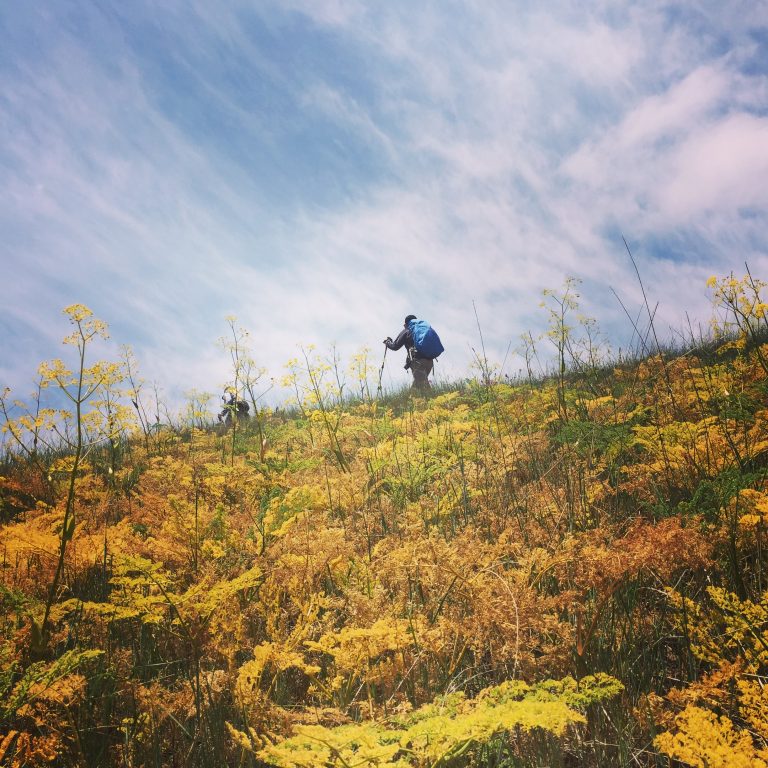 هزار مسجد کوه پلاس رضا اسماعیلی