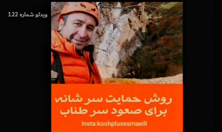 حمایت سر شانه تا کوییک اول