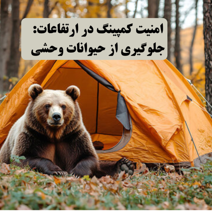 امنیت کمپینگ در ارتفاعات: جلوگیری از حیوانات وحشی