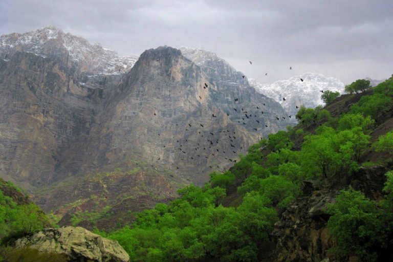 دره عشق شهر کرد