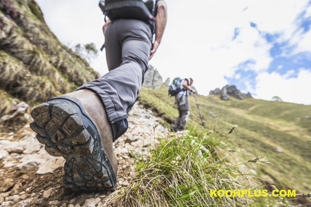 خرید کفش کوهنوردی کوه پلاس